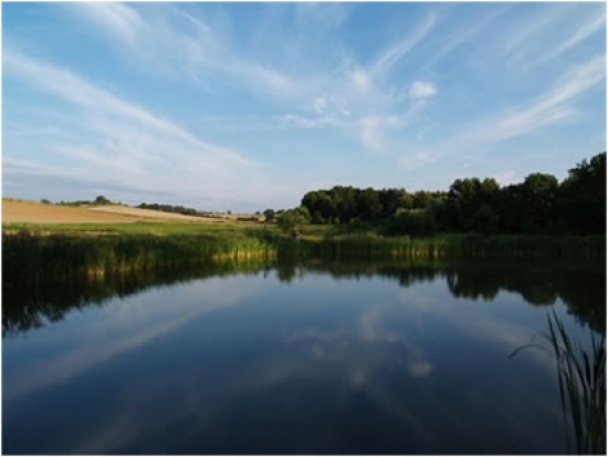 68 zł/m2 MIEJSKIE GRUNTY POD BUDOWĘ. WYJĄTKOWA OKAZJA, SPRZEDAŻ. 